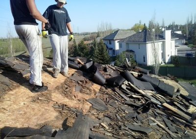 Cedar Roof